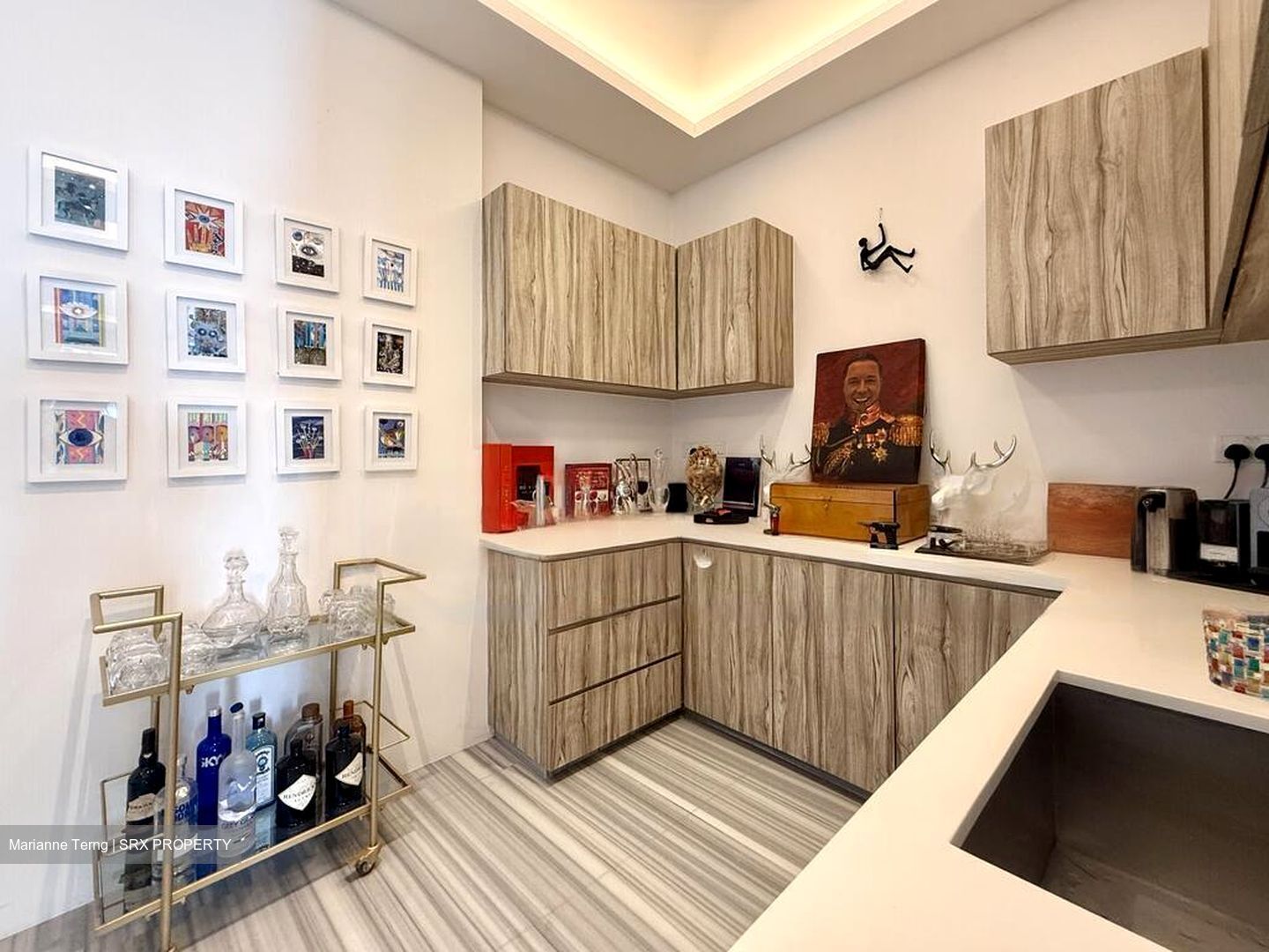KENSINGTON PARK ROAD (D19), Terrace #484398531